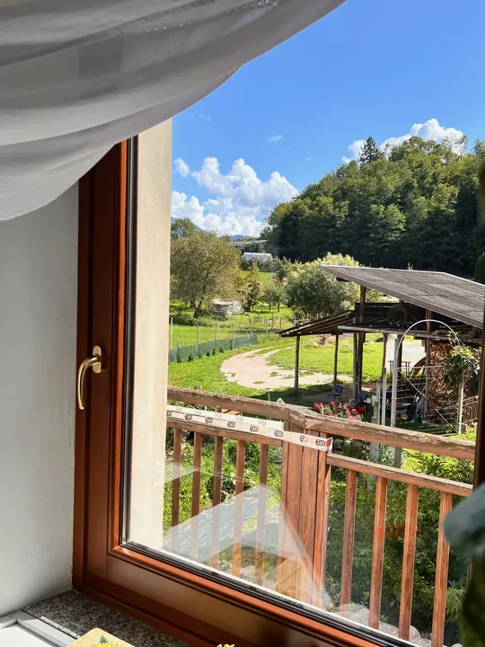 Vista Cucina. Cucina dell'appartamento Casa Nausicaa a Costasavina, Pergine Valsugana