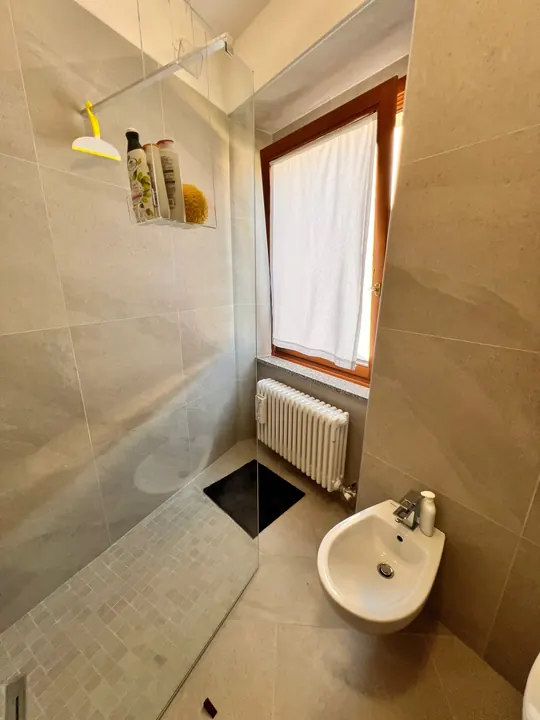 Bagno - Doccia 2. Bagno dell'appartamento Casa Nausicaa a Costasavina, Pergine Valsugana